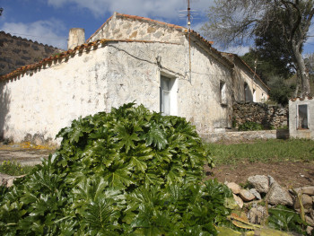 BiancaCumunu di Sant'Antoni di GadduraAla a mezzudì di lu stazzu spaltutu e la  madonnina