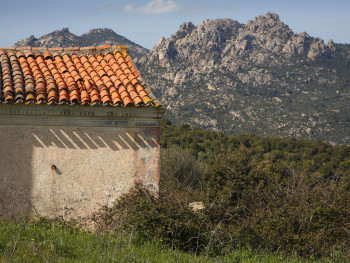 LamaMonti Pinu, Muddizza Piana – Cumunu di TarranoaStazzi Muddizza Piana. Stazzu  abbandunatu. Palticulari di lu chi resta dilli “decorazioni” ‘nantu a li muri, In fundali si idi  Cugnana