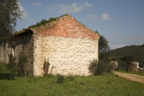 SFONDO_0011_MG_1416