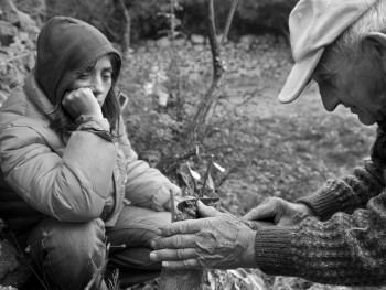 Babbu e Fiddola Località Balaiana, Stazzu Santu Linaldu - Comune di Luogosanto  Padre insegna alla figlia l’innesto dell'olivastro nell’orto invernale