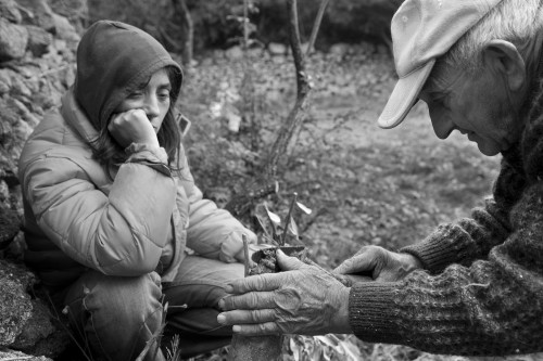 Babbu e Fiddola Localitài Balaiana, Stazzu Santu Linaldu - Cumunu di Locusantu   Ill’oltu di siccu, lu babbu,  ignitta a la fiddola comu s’innesta l’uddastru