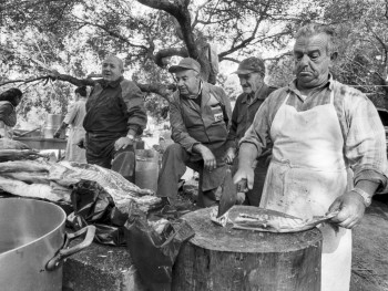 Suprastantia Località San Michele, ponte Liscia, San Pasquale - Comune di Tempio Pausania  Festa Campestre di San Michele,  preparazione del pranzo, I soci tagliano gli agnelli per il brodo