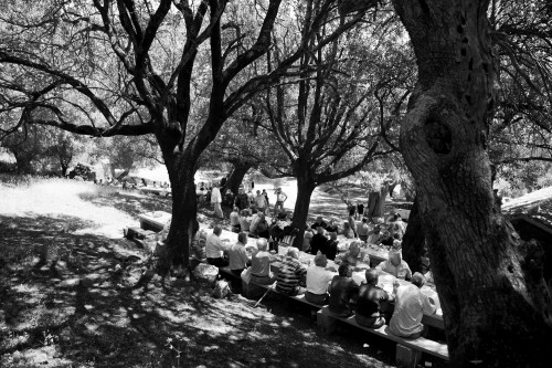 A l’umbra Località Santa Reparata - Comune di Luogosanto  Il pranzo