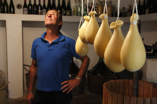 Nella sua cantina Località Giuncana - Comune di Viddalba  Ritratto in cantina ingombra di  damigiane, bottiglie, un torchio e formaggio appeso ad esiccare