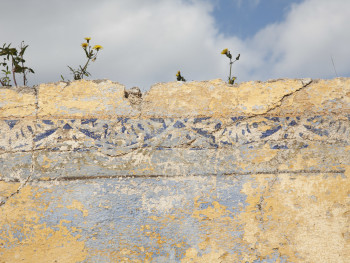 Cieli Monte Pino, Muddizza Piana - Comune di Olbia Stazzi Muddizza Piana. Interno di stazzo abbandonato, cornicione interno