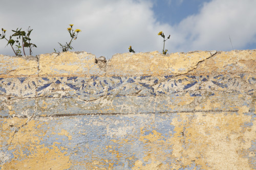 Cieli Monte Pino, Muddizza Piana - Comune di Olbia Stazzi Muddizza Piana. Interno di stazzo abbandonato, cornicione interno