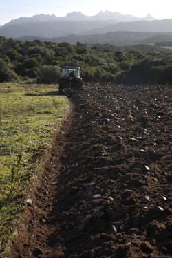Cutting the ground