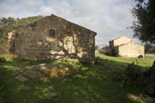 Un ragnu illu caponi
Cussorgia di Muntagna, stazzi Lu Palazzu - Comune di Tempio Pausania 
Lu Palazzu, le case