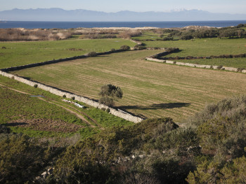 Vasche da bagno #2 
Barrabisa, Porto Puddu e Foce del Liscia - Comuni di Palau e Santa Teresa Gallura 
2 mesi dopo l'aratura, bassa valle del Liscia. Sullo sfondo la Corsica