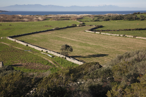 Vasche da bagno #2 
Barrabisa, Porto Puddu e Foce del Liscia - Comuni di Palau e Santa Teresa Gallura 
2 mesi dopo l'aratura, bassa valle del Liscia. Sullo sfondo la Corsica