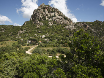 Monti Longu 
Località Monti Longu - Comune di Olbia 
Stazzu Monti Longu e sullo sfondo il monte