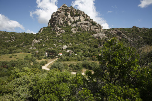 Monti Longu 
Località Monti Longu - Comune di Olbia 
Stazzu Monti Longu e sullo sfondo il monte