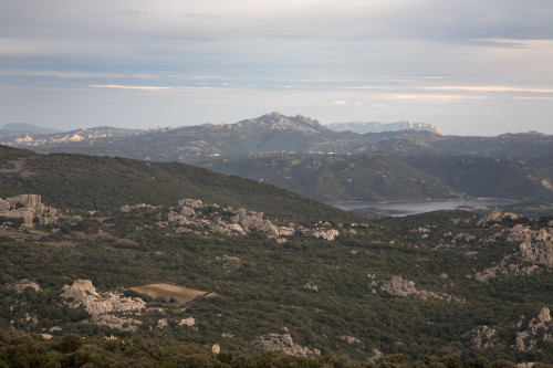 “Cant’è beddha la Gaddhura…” 
Località Monte Bissuta - Comuni di Luras, Sant'Antonio di Gallura, Olbia, Golfo Aranci 
Panorama da Monte Bissuta. Si notano l’invaso del Liscia, Sant’Antonio, Monte Pino, Monte Plebi, Tavolara, Capo Figari