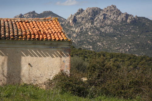 Lama
Monte Pino, Località Muddizza Piana - Comune di Olbia
Stazzi Muddizza Piana. Stazzo  abbandonato. Particolari di resti di decorazioni murarie, sullo sfondo Cugnana