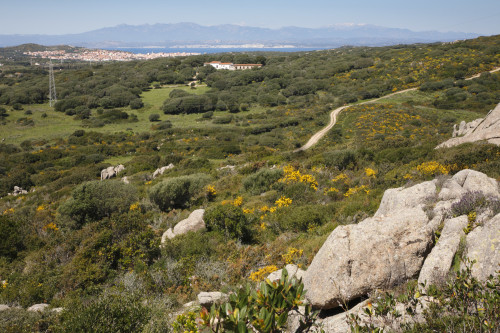 Isole gemelle 
Località Lu Nalboni - Comune di Santa Teresa Gallura
Stazzu Sterrithogghju.  Sullo sfondo Santa Teresa e la Corsica