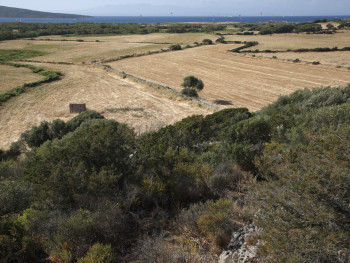 Vasche da bagn…ante (Vasche da bagno #3) 
Barrabisa, Porto Puddu, Foce del Liscia - Comuni di Palau e Santa Teresa Gallura
6 mesi dopo l'aratura, mietitura del fieno. Sullo sfondo vari Kitesurf, la penisola di Culuccia, Spargiotto e la Corsica