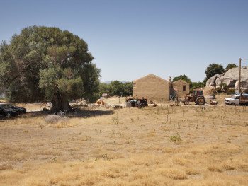Mimesi 
Località Monticanu - Comuni di Palau e Arzachena. 
Stazzu Monticanu. La casa, olivastro millenario e mezzi meccanici