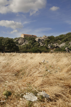 La casa a palazzo 
Località SP115/Monti Mazzolu - Comune di Arzachena  
Campi di fieno secco e stazzo a palazzetto
