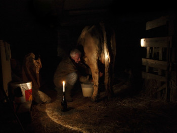 A lume di candela Località Silonis - Comune di Luras  Interno stalla, mungitura dell’alba